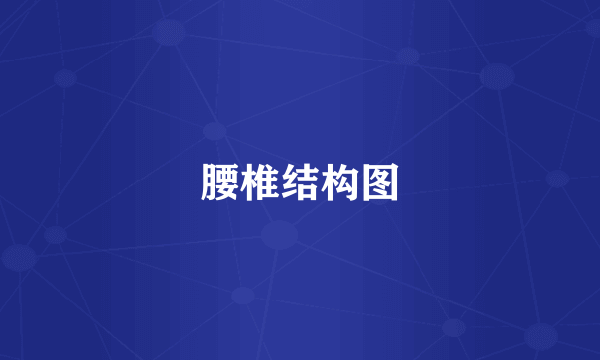 腰椎结构图