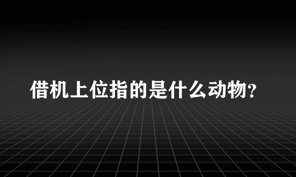 借机上位指的是什么动物？