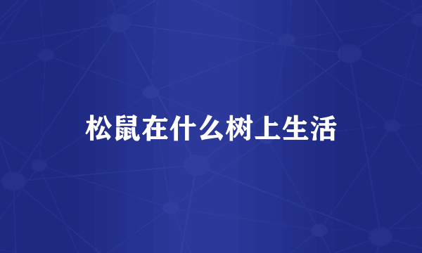 松鼠在什么树上生活