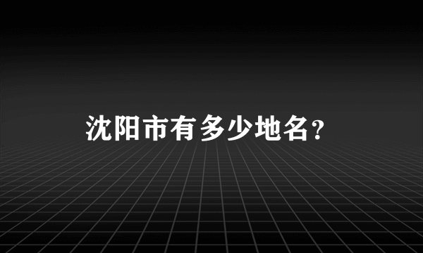 沈阳市有多少地名？