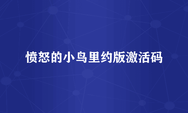 愤怒的小鸟里约版激活码