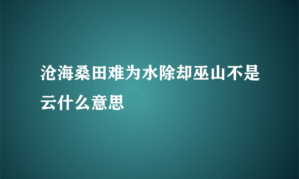 沧海桑田难为水除却巫山不是云什么意思