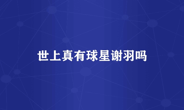 世上真有球星谢羽吗