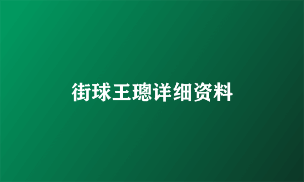 街球王璁详细资料