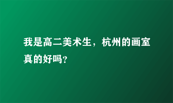 我是高二美术生，杭州的画室真的好吗？