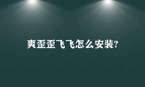 爽歪歪飞飞怎么安装?