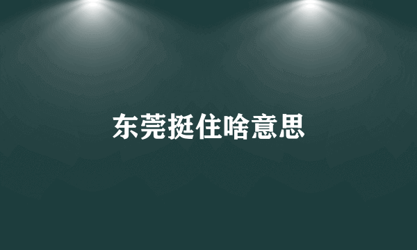 东莞挺住啥意思