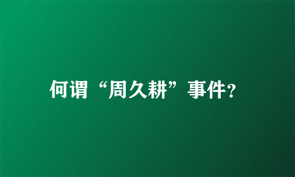 何谓“周久耕”事件？