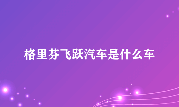 格里芬飞跃汽车是什么车