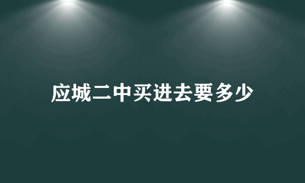 应城二中买进去要多少