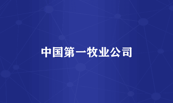中国第一牧业公司