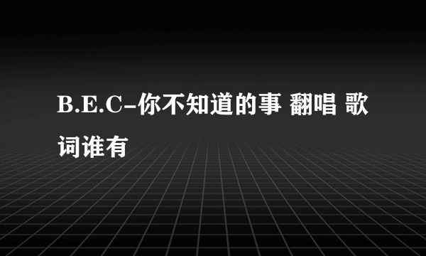 B.E.C-你不知道的事 翻唱 歌词谁有
