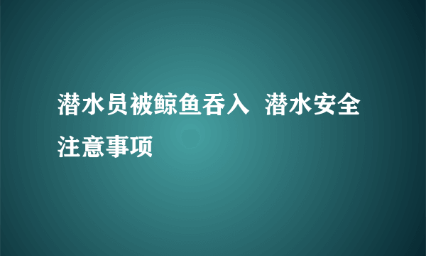 潜水员被鲸鱼吞入  潜水安全注意事项