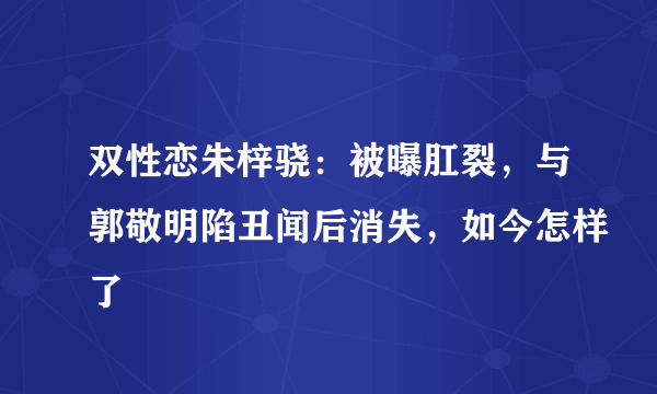 双性恋朱梓骁：被曝肛裂，与郭敬明陷丑闻后消失，如今怎样了