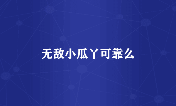 无敌小瓜丫可靠么