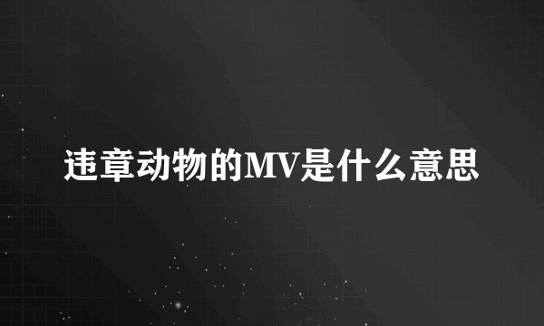 违章动物的MV是什么意思