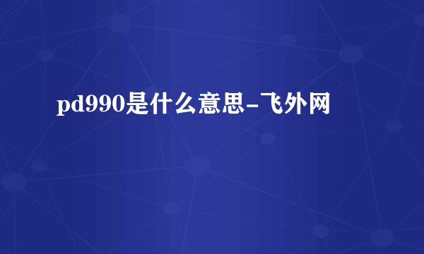 pd990是什么意思-飞外网