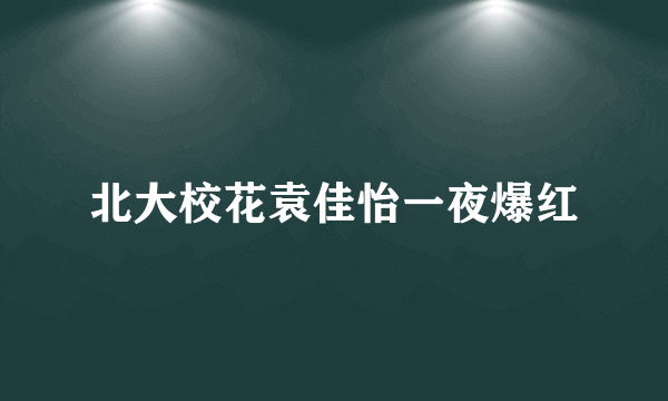 北大校花袁佳怡一夜爆红