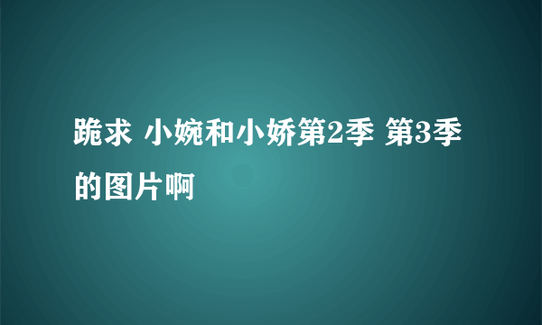 跪求 小婉和小娇第2季 第3季的图片啊