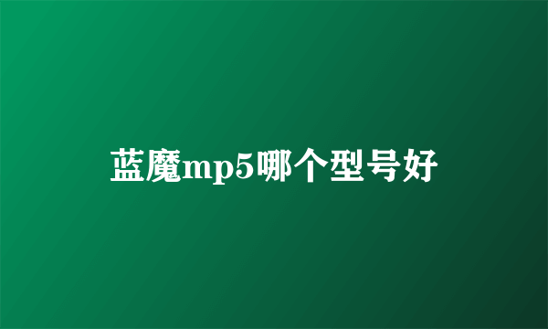 蓝魔mp5哪个型号好
