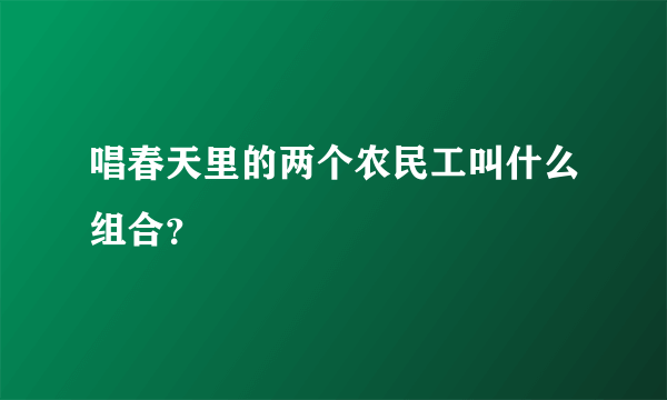 唱春天里的两个农民工叫什么组合？