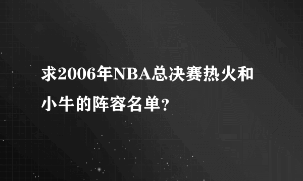 求2006年NBA总决赛热火和小牛的阵容名单？