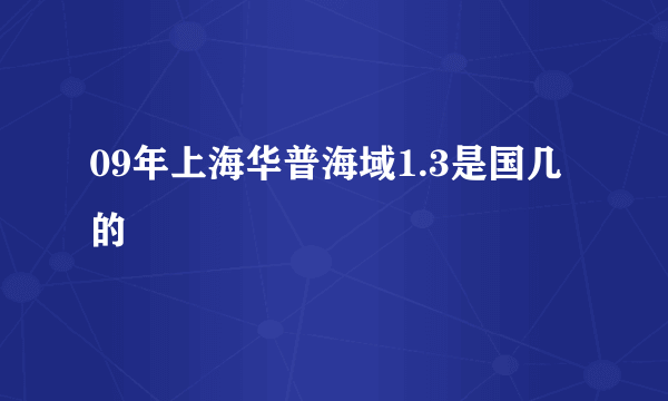 09年上海华普海域1.3是国几的