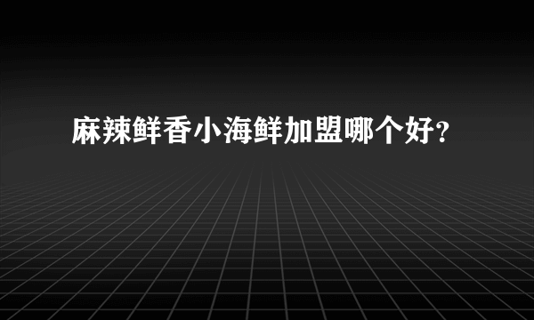 麻辣鲜香小海鲜加盟哪个好？