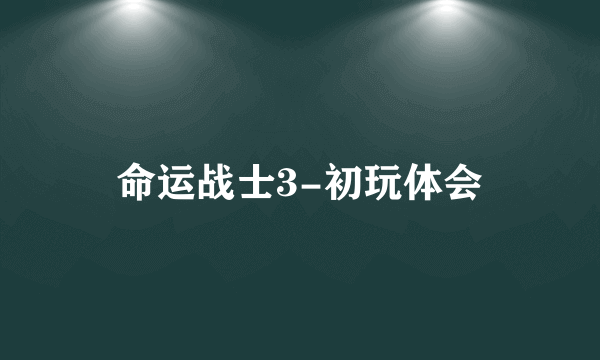 命运战士3-初玩体会