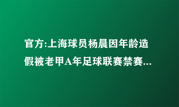 官方:上海球员杨晨因年龄造假被老甲A年足球联赛禁赛8年，至2026年末，你怎么看？