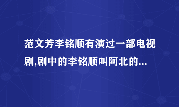 范文芳李铭顺有演过一部电视剧,剧中的李铭顺叫阿北的电视剧叫什么