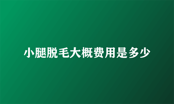 小腿脱毛大概费用是多少