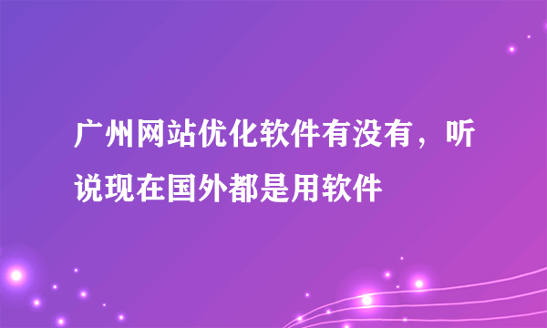 广州网站优化软件有没有，听说现在国外都是用软件