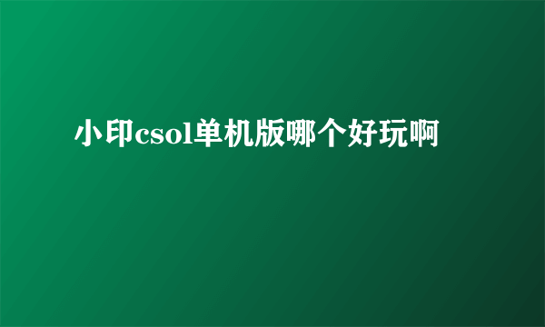 小印csol单机版哪个好玩啊