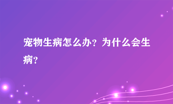 宠物生病怎么办？为什么会生病？