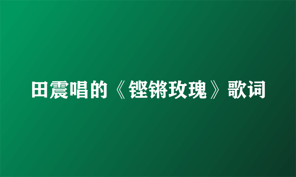田震唱的《铿锵玫瑰》歌词