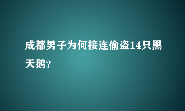 成都男子为何接连偷盗14只黑天鹅？