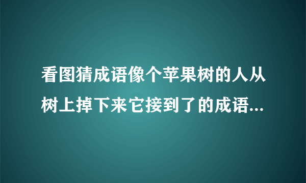 看图猜成语像个苹果树的人从树上掉下来它接到了的成语是什么啊