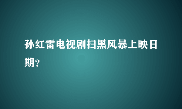 孙红雷电视剧扫黑风暴上映日期？