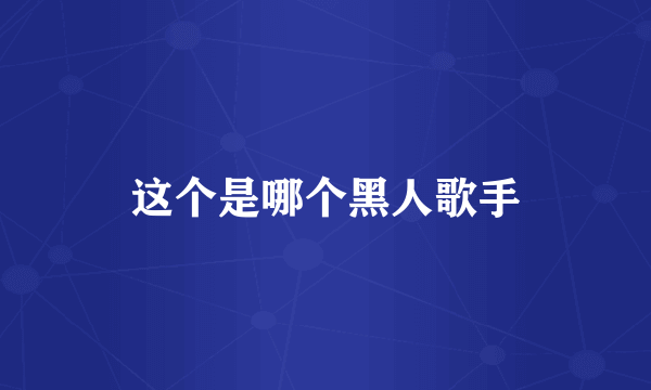 这个是哪个黑人歌手