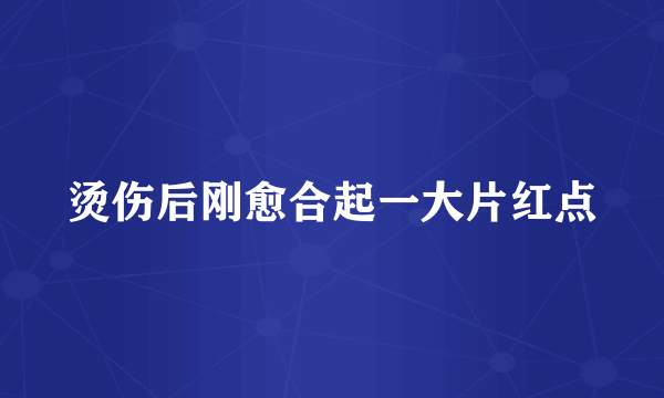 烫伤后刚愈合起一大片红点