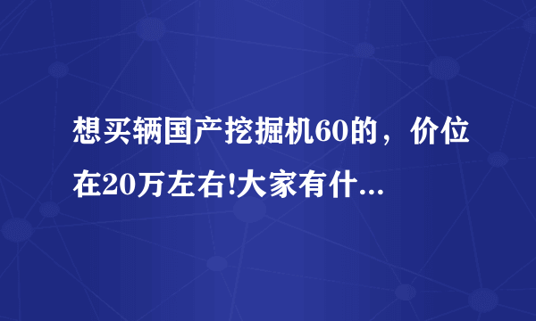 想买辆国产挖掘机60的，价位在20万左右!大家有什么建议？