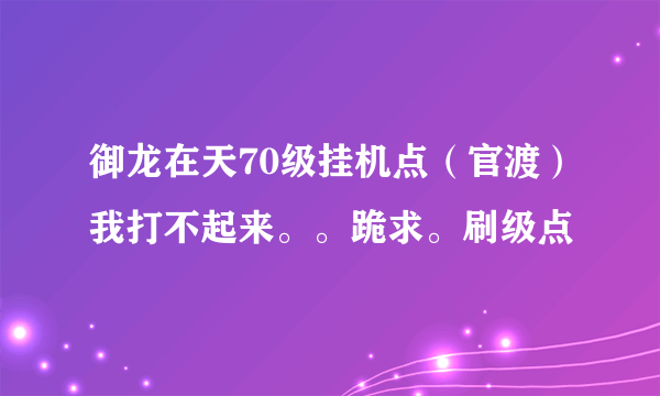 御龙在天70级挂机点（官渡）我打不起来。。跪求。刷级点