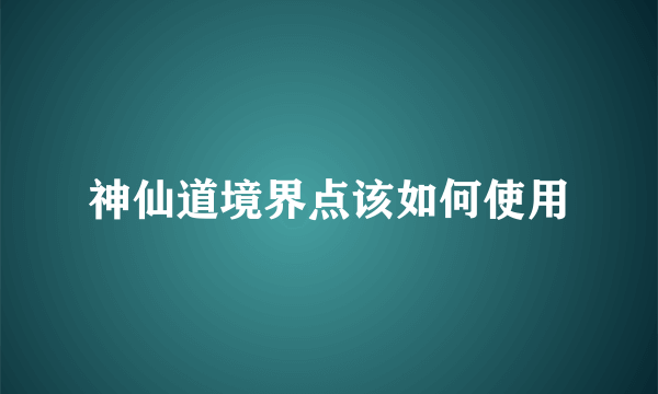 神仙道境界点该如何使用