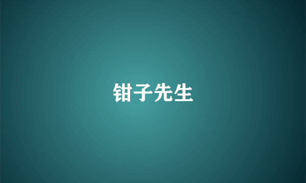 钳子先生