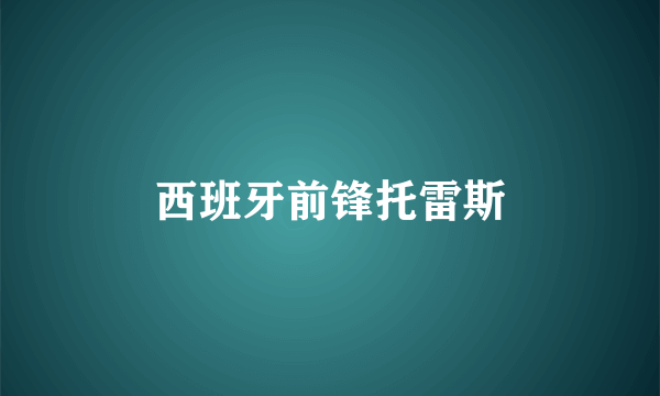 西班牙前锋托雷斯
