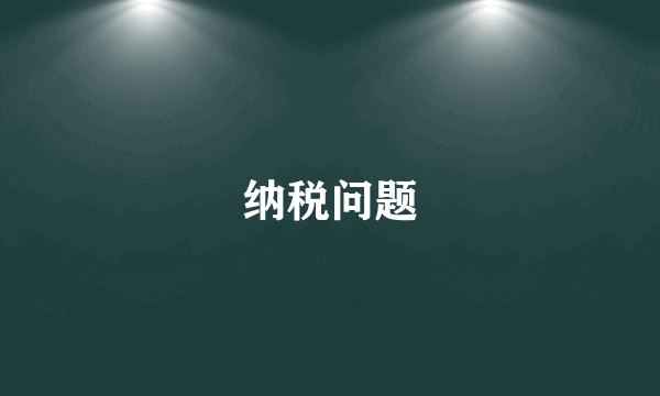 纳税问题
