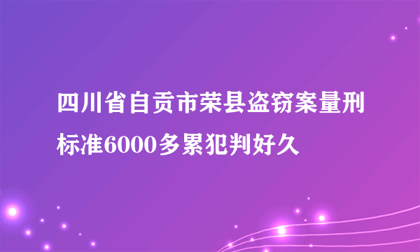 四川省自贡市荣县盗窃案量刑标准6000多累犯判好久