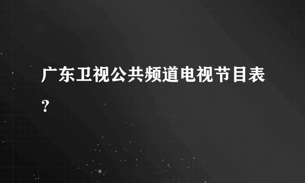 广东卫视公共频道电视节目表？