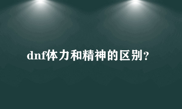 dnf体力和精神的区别？